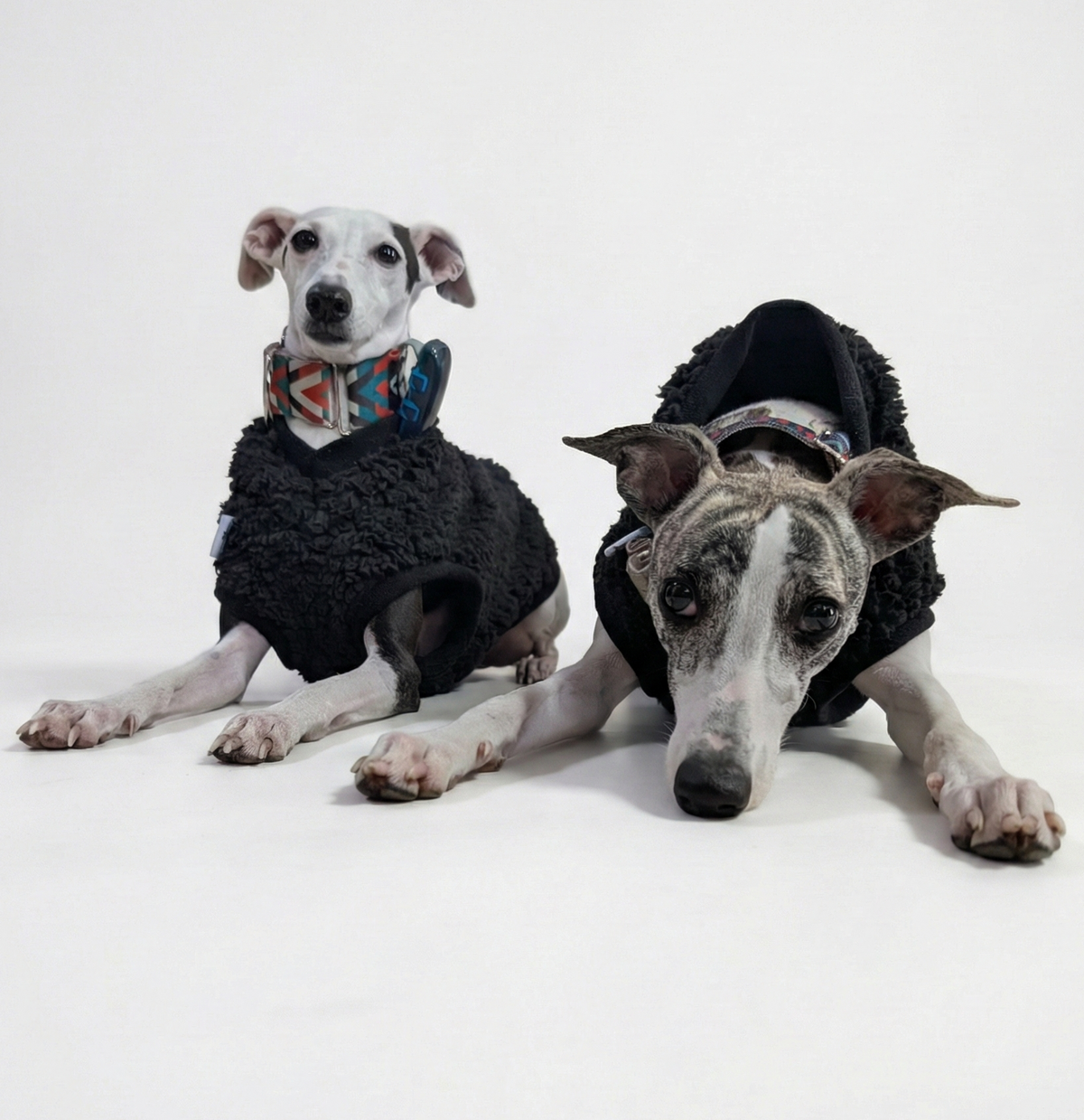 Italian Greyhound & Whippet sherpa vest – dog clothing | Kis olasz agár & whippet sherpa mellény – kutyaruha | Hound Theory