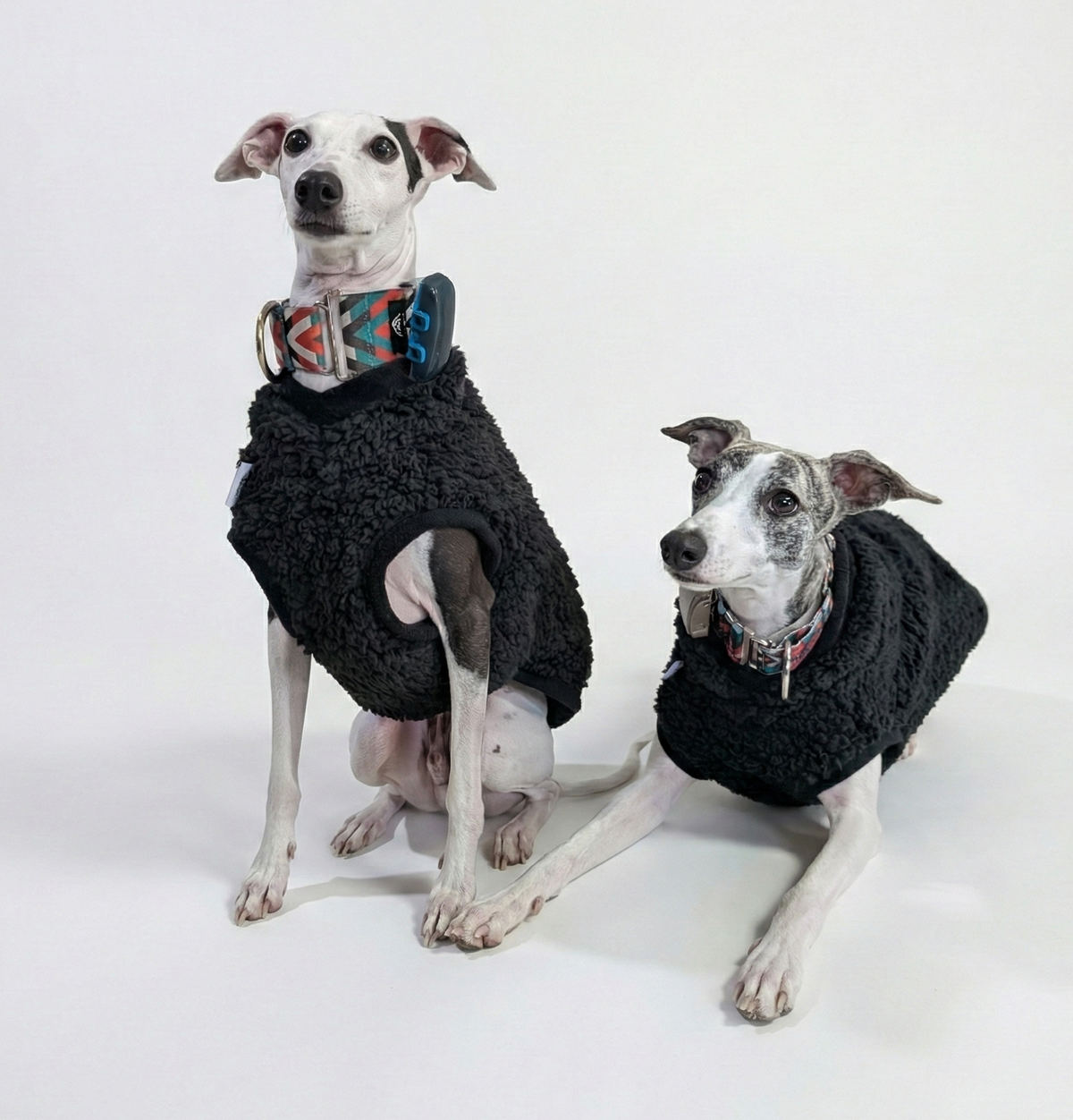 Italian Greyhound & Whippet sherpa vest – dog clothing | Kis olasz agár & whippet sherpa mellény – kutyaruha | Hound Theory