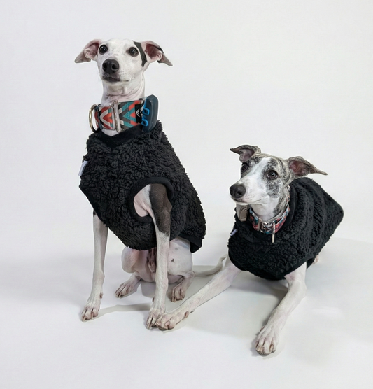 Italian Greyhound & Whippet sherpa vest – dog clothing | Kis olasz agár & whippet sherpa mellény – kutyaruha | Hound Theory