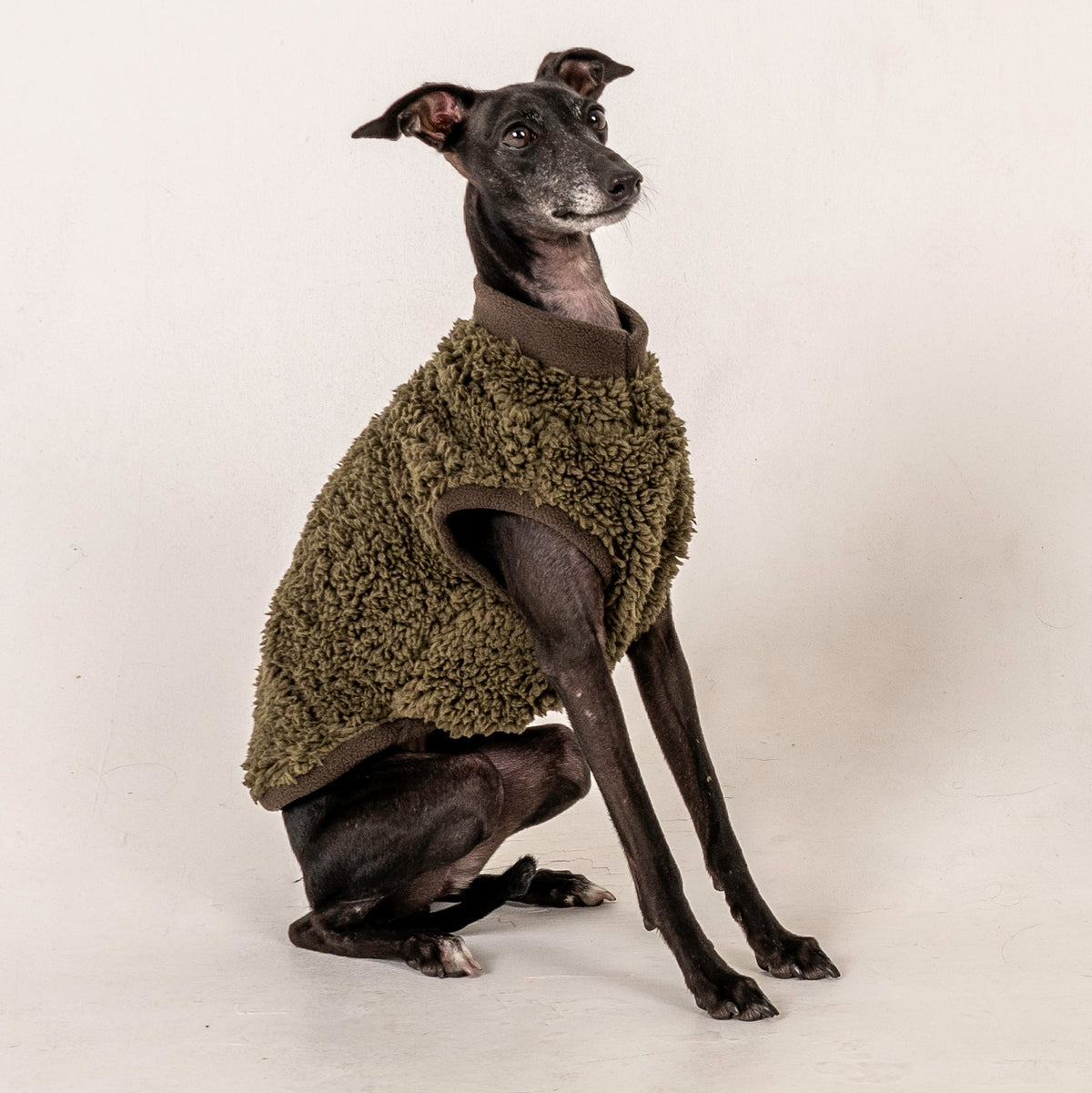 Italian Greyhound & Whippet sherpa vest, olive green – dog clothing | Kis olasz agár & whippet sherpa mellény, olívazöld – kutyaruha | Hound Theory