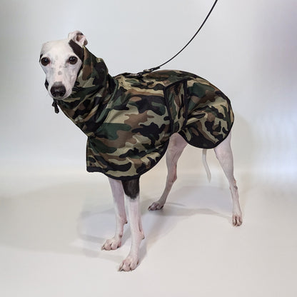 Italian Greyhound & Whippet waterproof coat, green – dog clothing | Kis olasz agár & whippet vízálló kabát, zöld – kutyaruha | Hound Theory