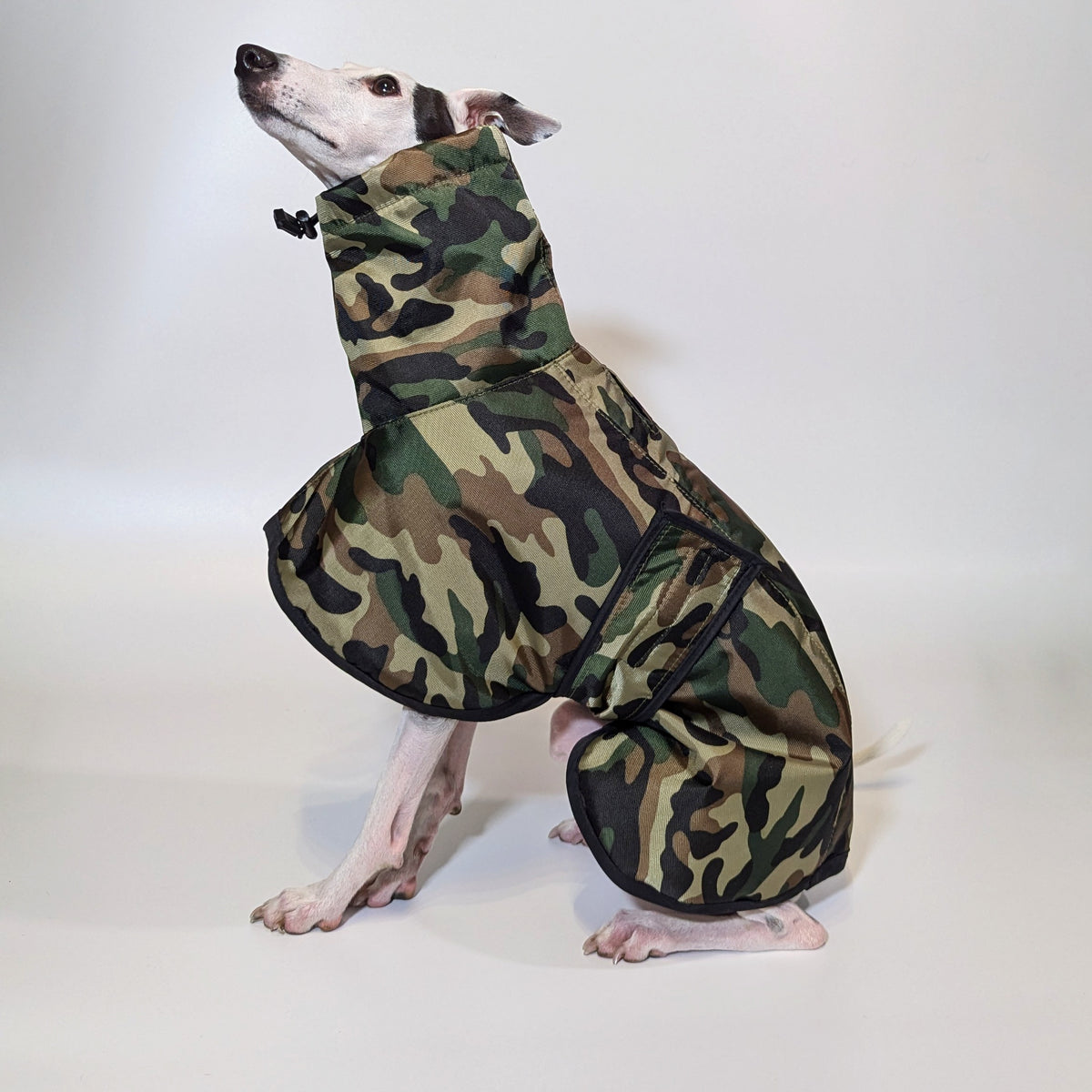 Italian Greyhound & Whippet waterproof coat, green – dog clothing | Kis olasz agár & whippet vízálló kabát, zöld – kutyaruha | Hound Theory
