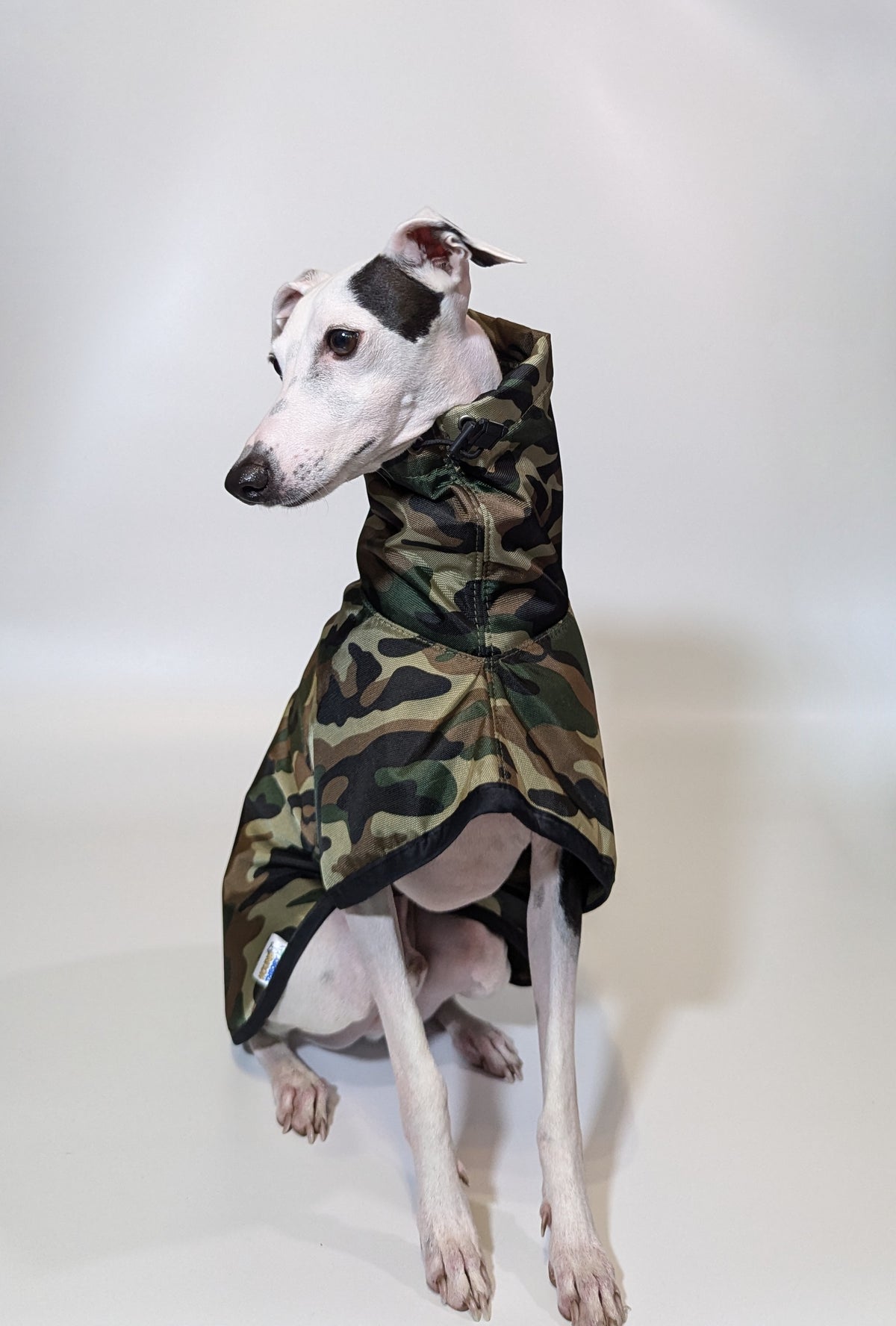 Italian Greyhound & Whippet waterproof coat, green – dog clothing | Kis olasz agár & whippet vízálló kabát, zöld – kutyaruha | Hound Theory