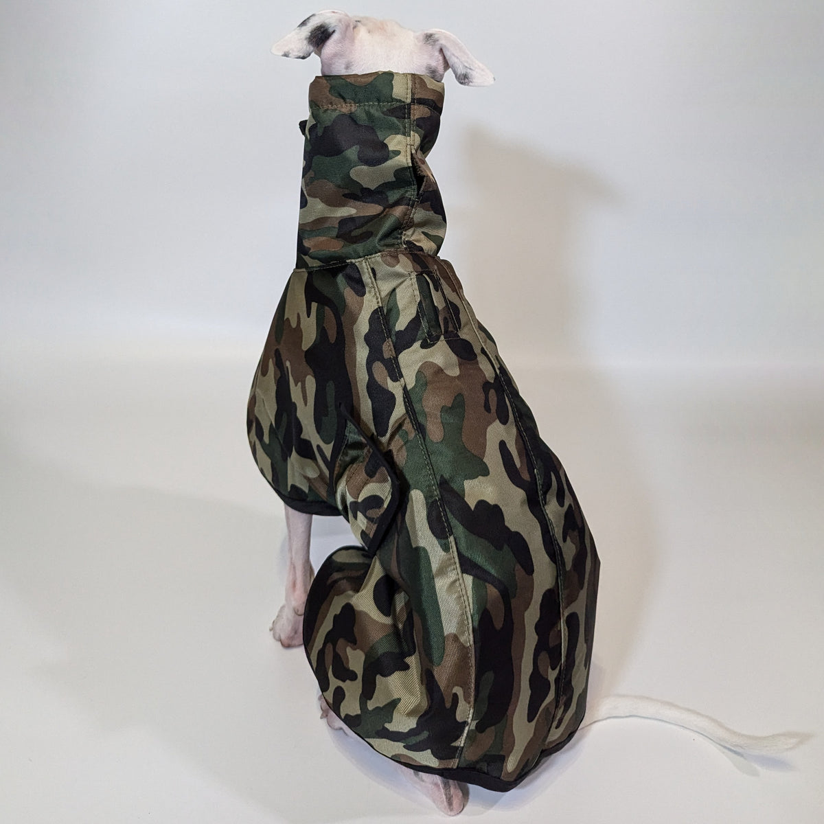 Italian Greyhound & Whippet waterproof coat, green – dog clothing | Kis olasz agár & whippet vízálló kabát, zöld – kutyaruha | Hound Theory