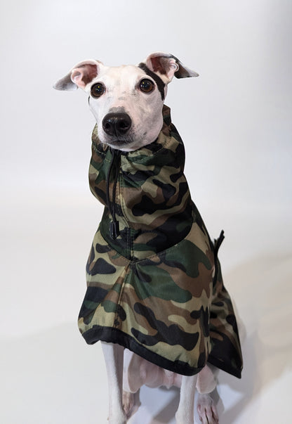 Italian Greyhound & Whippet waterproof coat, green – dog clothing | Kis olasz agár & whippet vízálló kabát, zöld – kutyaruha | Hound Theory