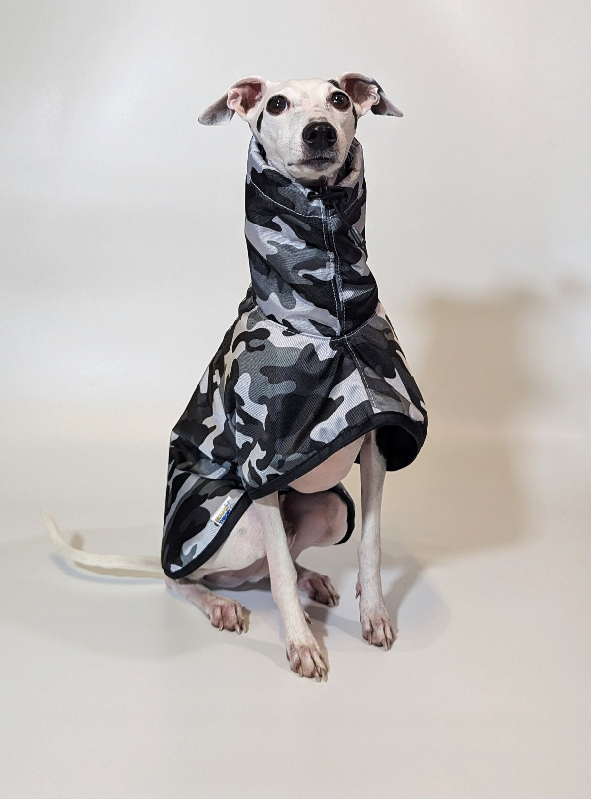 Italian Greyhound & Whippet waterproof coat, white – dog clothing | Kis olasz agár & whippet vízálló kabát, fehér – kutyaruha | Hound Theory