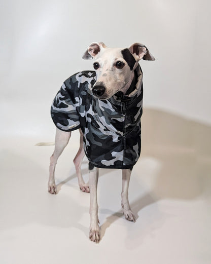 Italian Greyhound & Whippet waterproof coat, white – dog clothing | Kis olasz agár & whippet vízálló kabát, fehér – kutyaruha | Hound Theory