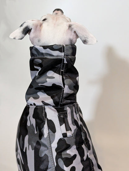 Italian Greyhound & Whippet waterproof coat, white – dog clothing | Kis olasz agár & whippet vízálló kabát, fehér – kutyaruha | Hound Theory