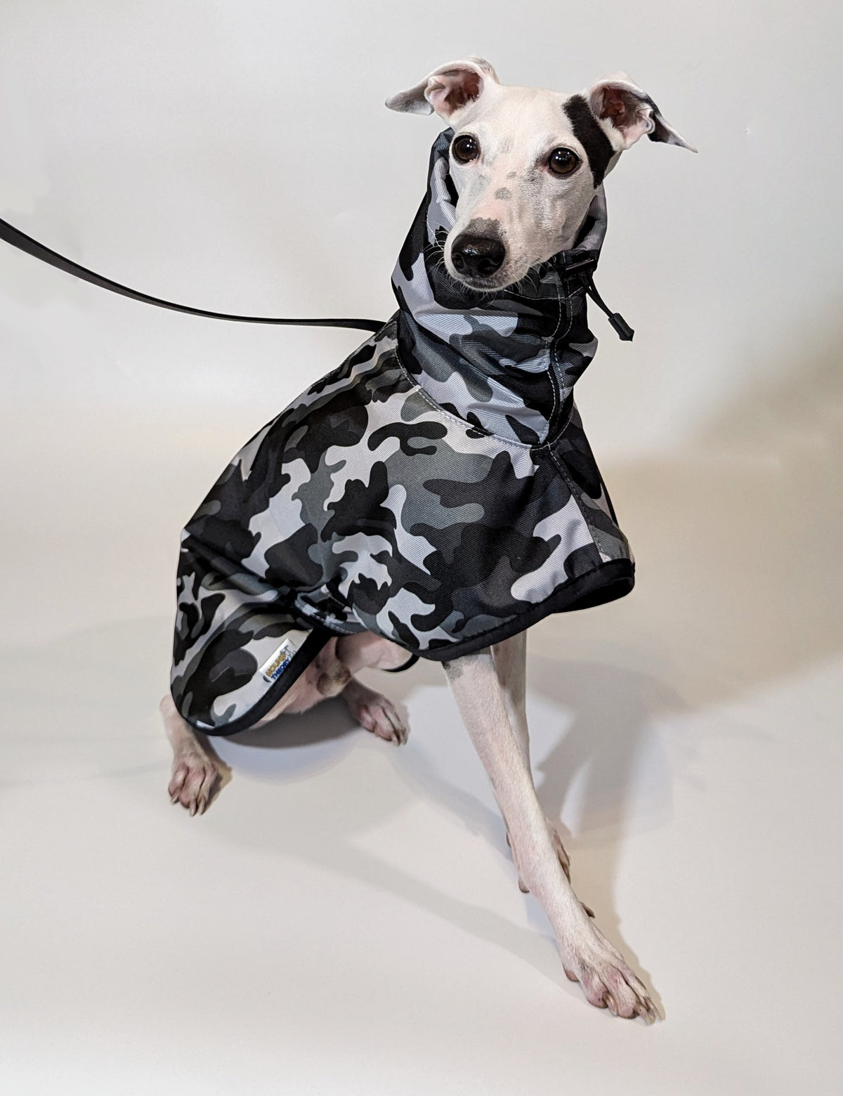 Italian Greyhound & Whippet waterproof coat, white – dog clothing | Kis olasz agár & whippet vízálló kabát, fehér – kutyaruha | Hound Theory