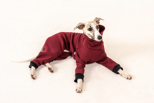jumpsuit red wine italiangreyhound whippet
