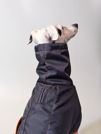 Whippet | Waterproof Coat - Tempest Blue/Orange