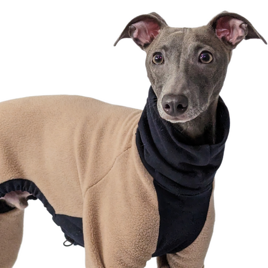jumpsuit black italian greyhound whippet