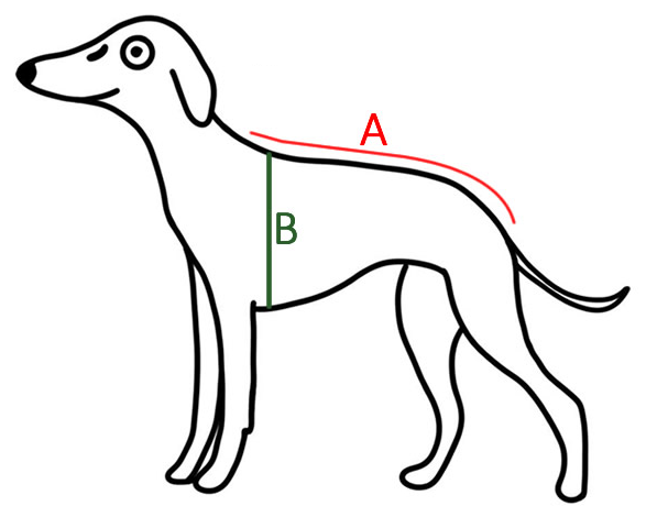 Mr Hound mérési útmutató kabáthoz: A háthossz, B gerinctől a mellkasig